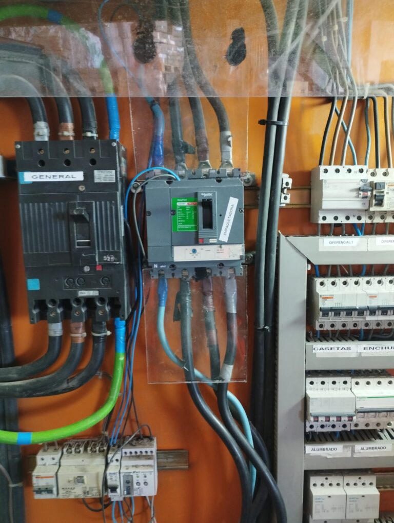 WhatsApp Image 2025-10-17 at 08.07